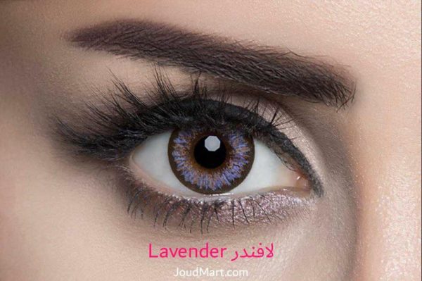 Lavender لافندر